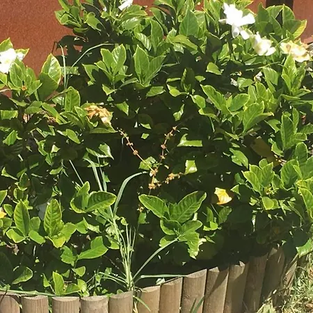 Dom wakacyjny Casa Con Jardin Pontevedra