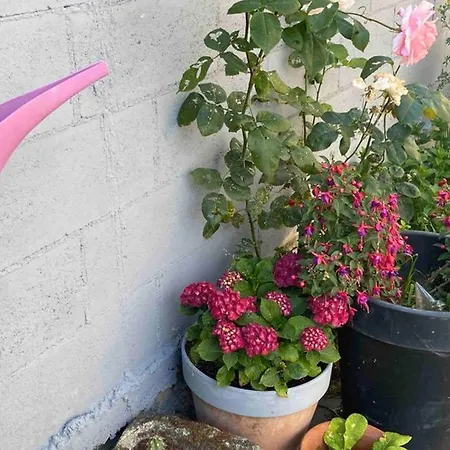 Casa Con Jardin *